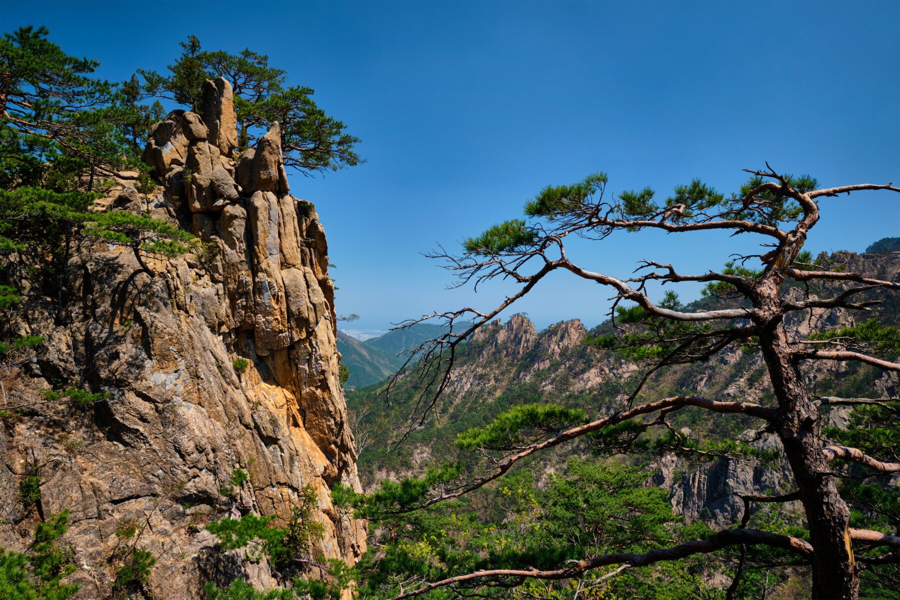 Scenic Korean mountain trails and coastal beaches