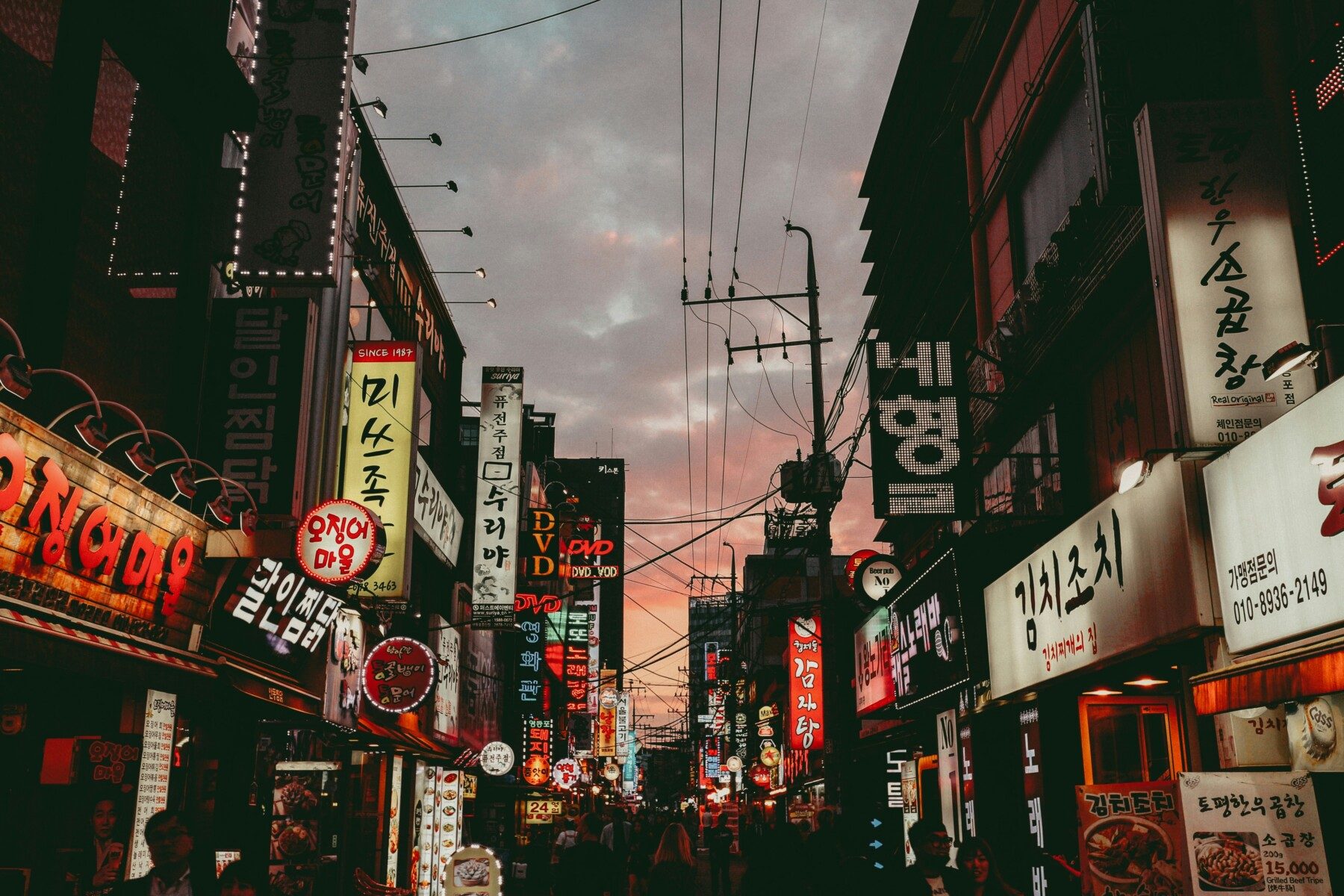 K-Pop concert and Korean Wave cultural experience